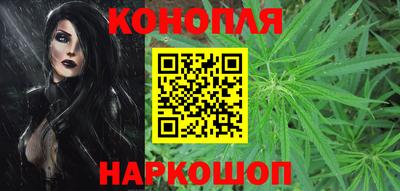 шишки Бузулук