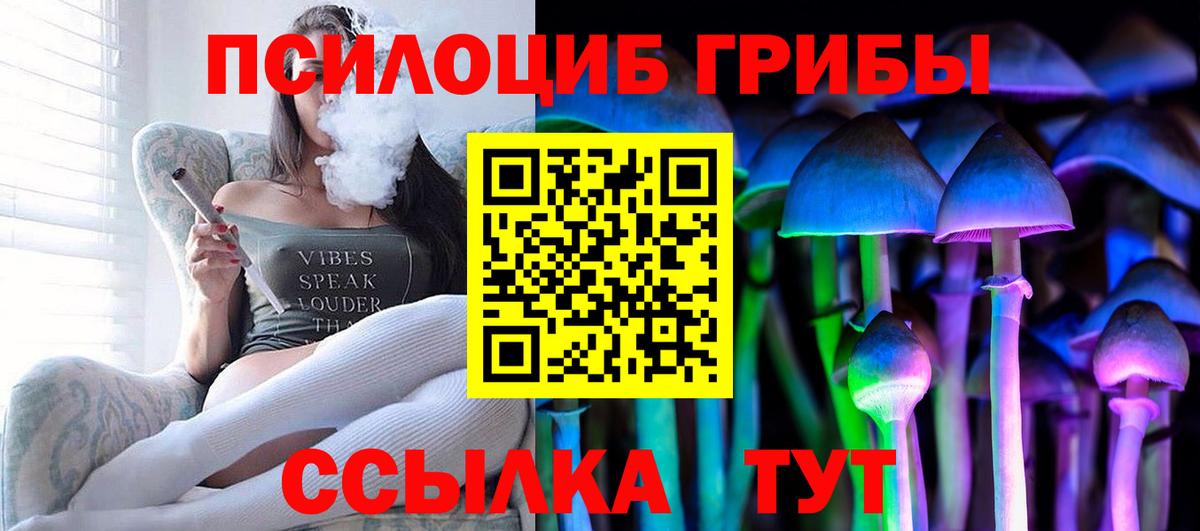 Псилоцибиновые грибы прущие грибы Канск